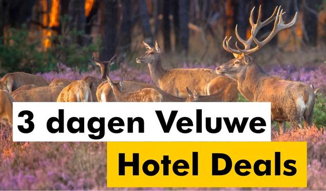 3 dagen Veluwe hotel deals
